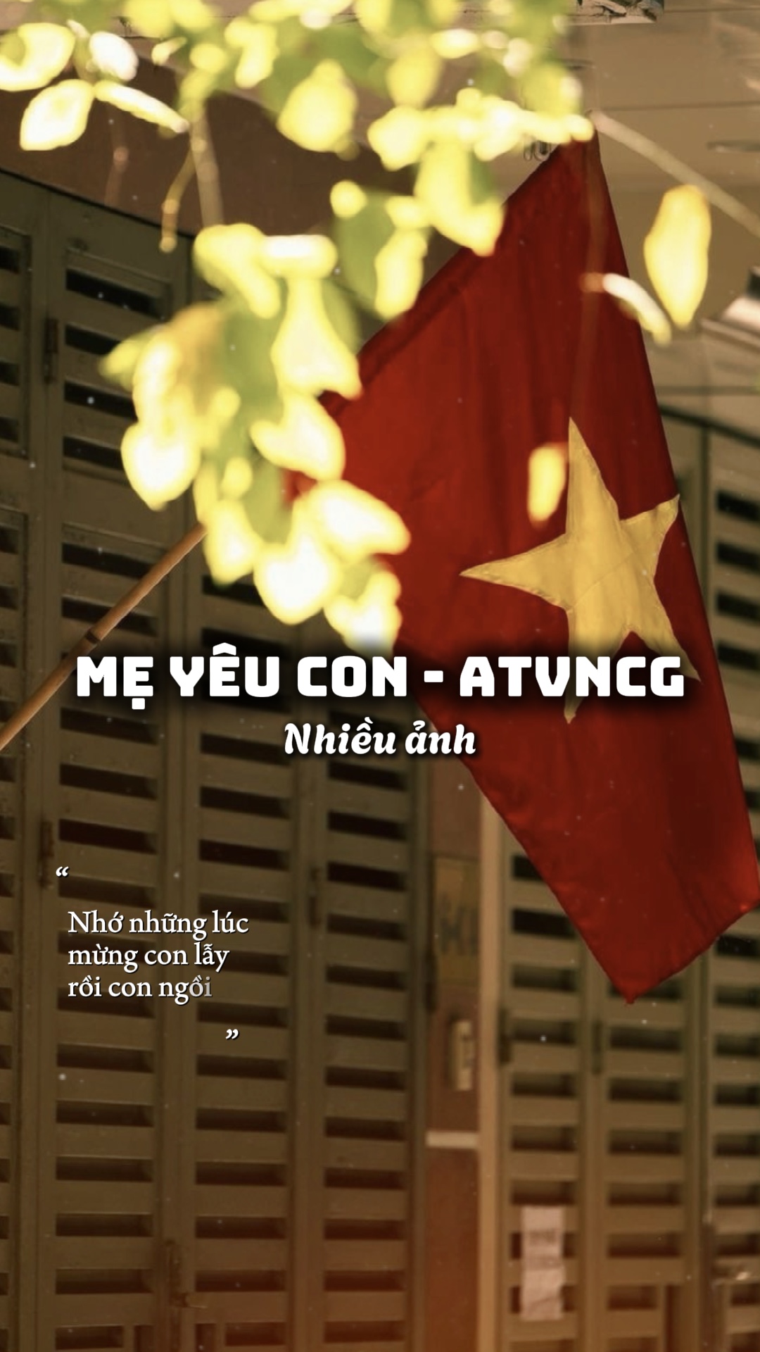 Mṛyêu con