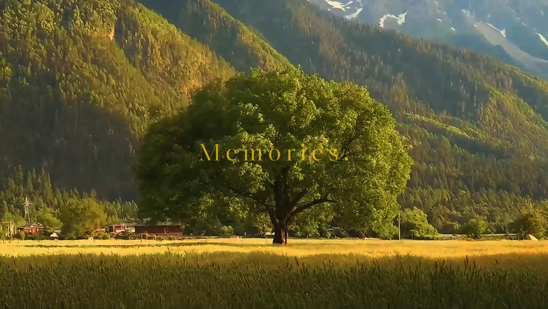 memories