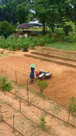A farmer’s life