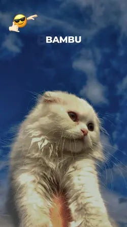 lirik estetik