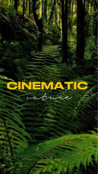 10 Clips Videos