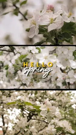 Hello Spring