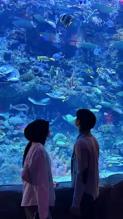 hati tergores cinta