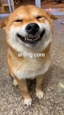 anjing core