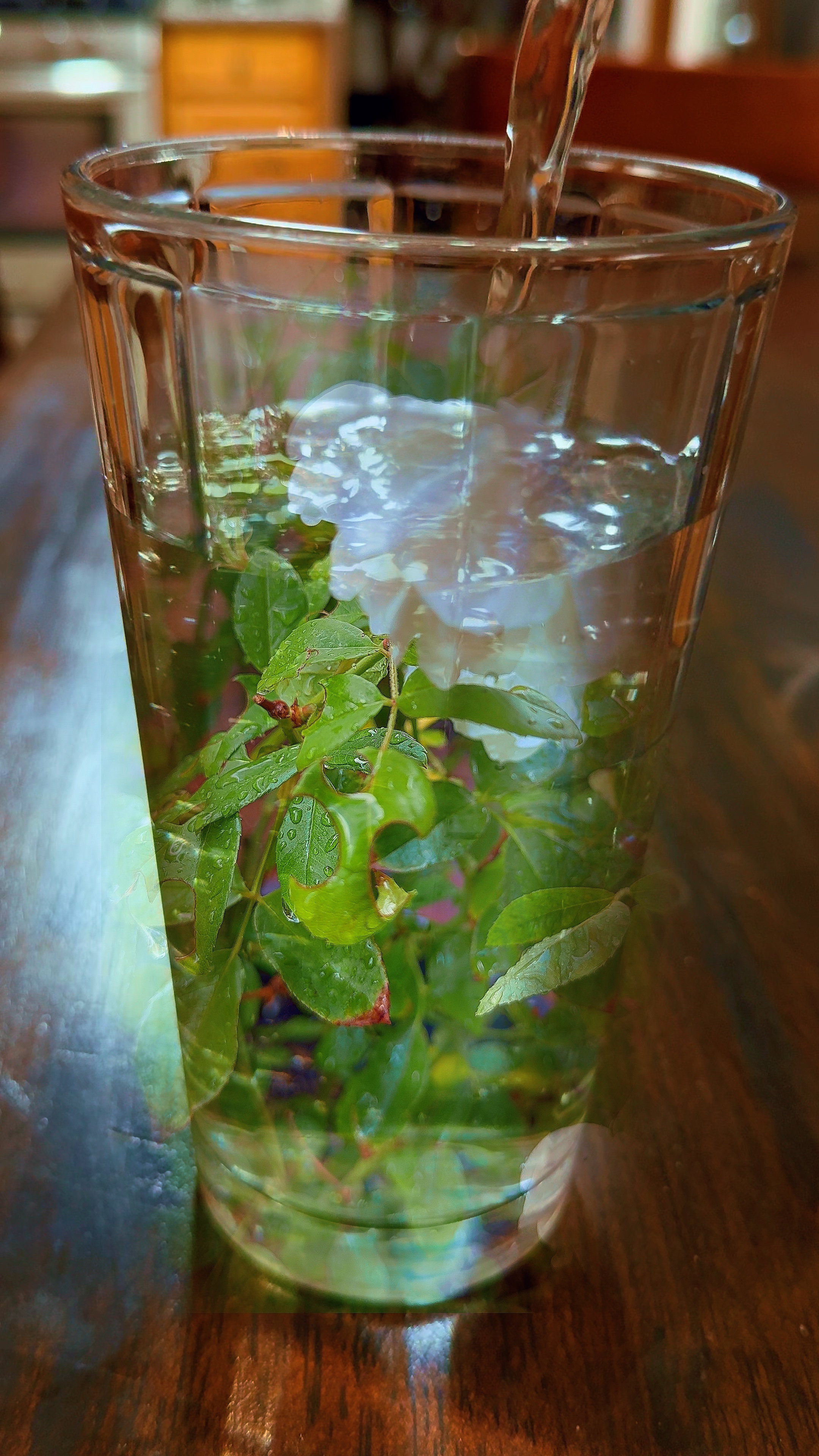 Glas Wasser 