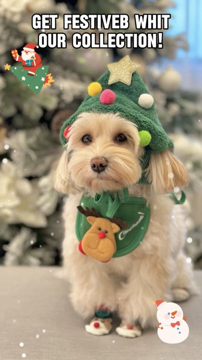 Christmas pet