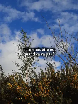 T'aimerais être ou