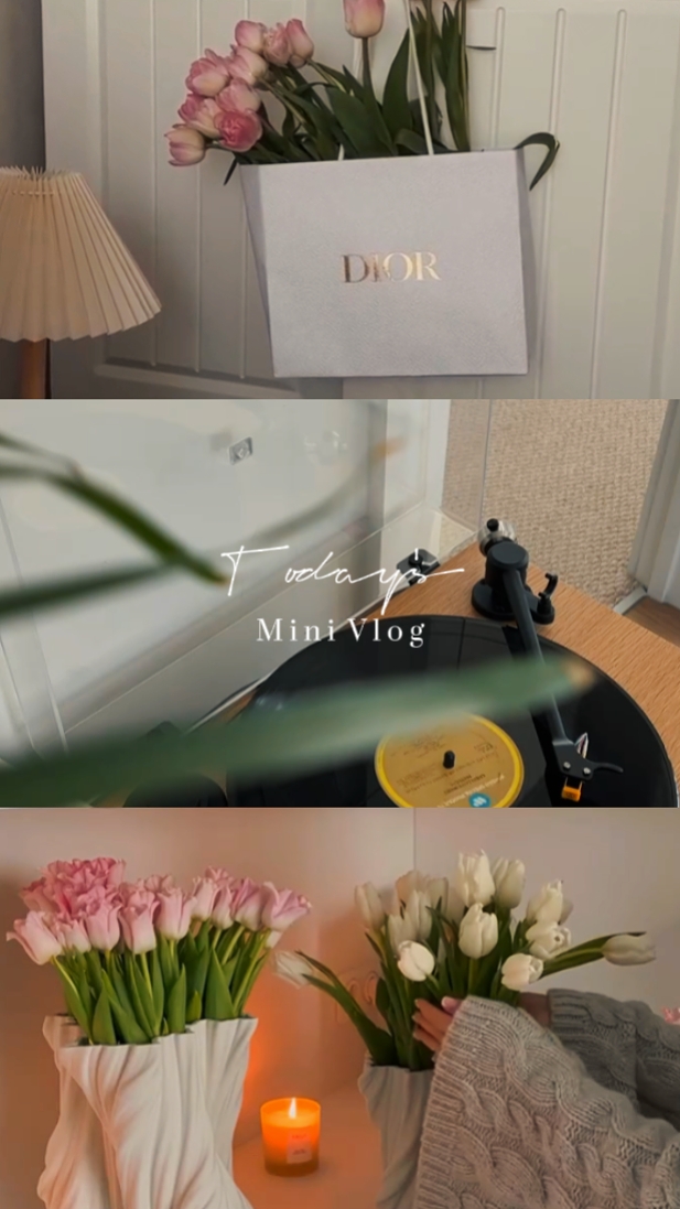 Vlog mini