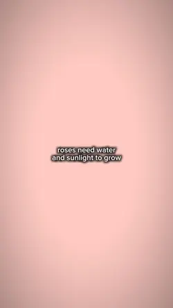 rosesneedwatertogrow