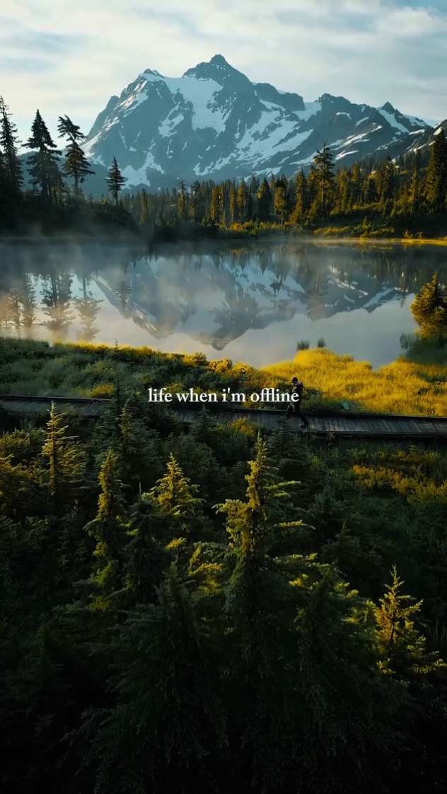 life when im offline