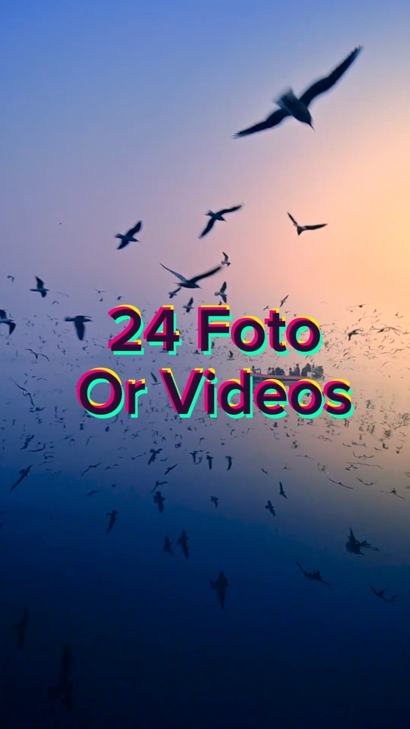 24 Foto Slide