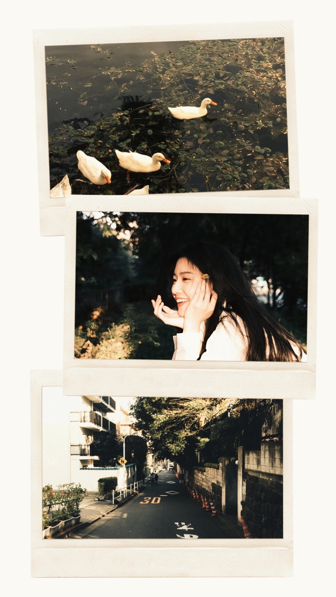 Polaroid de 3 cuadros
