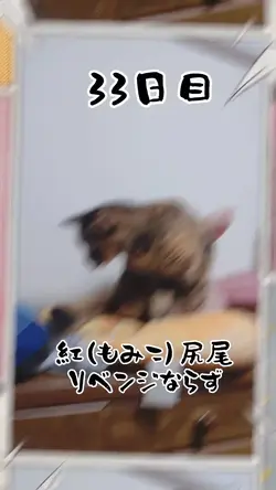 コミック風の処理