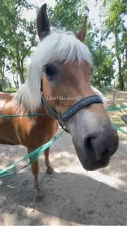 I am not the one you