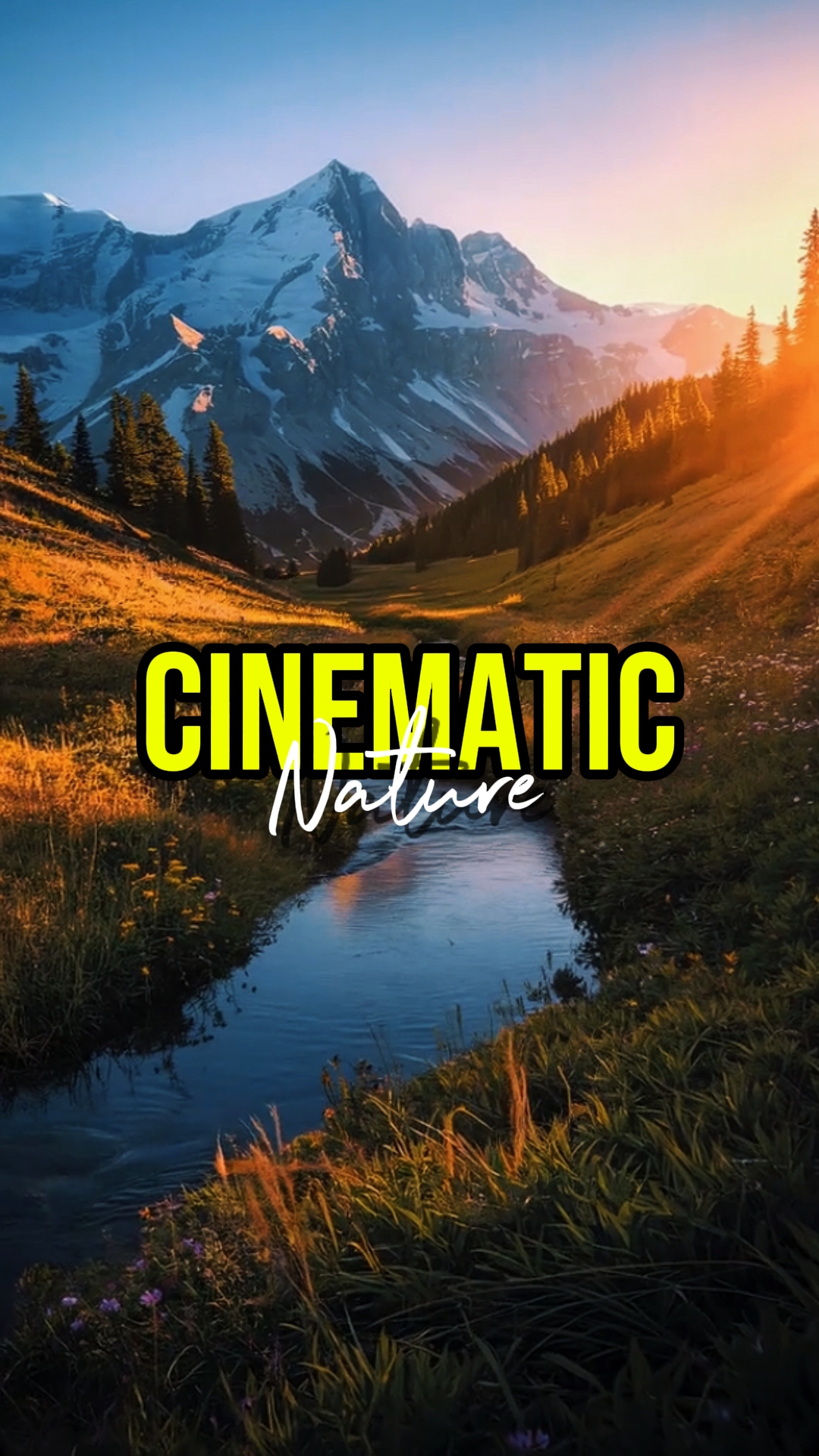 CINEMATIC NATURE