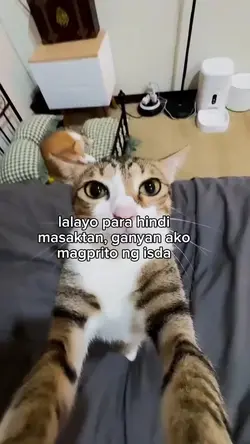 lalayo para hindi ma