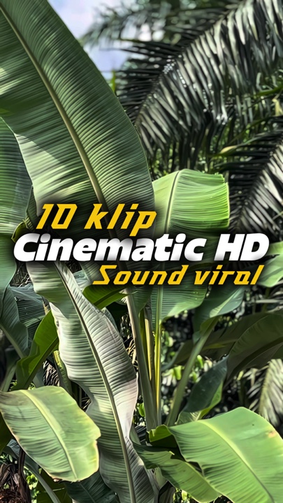 Cinematic HD 10klip