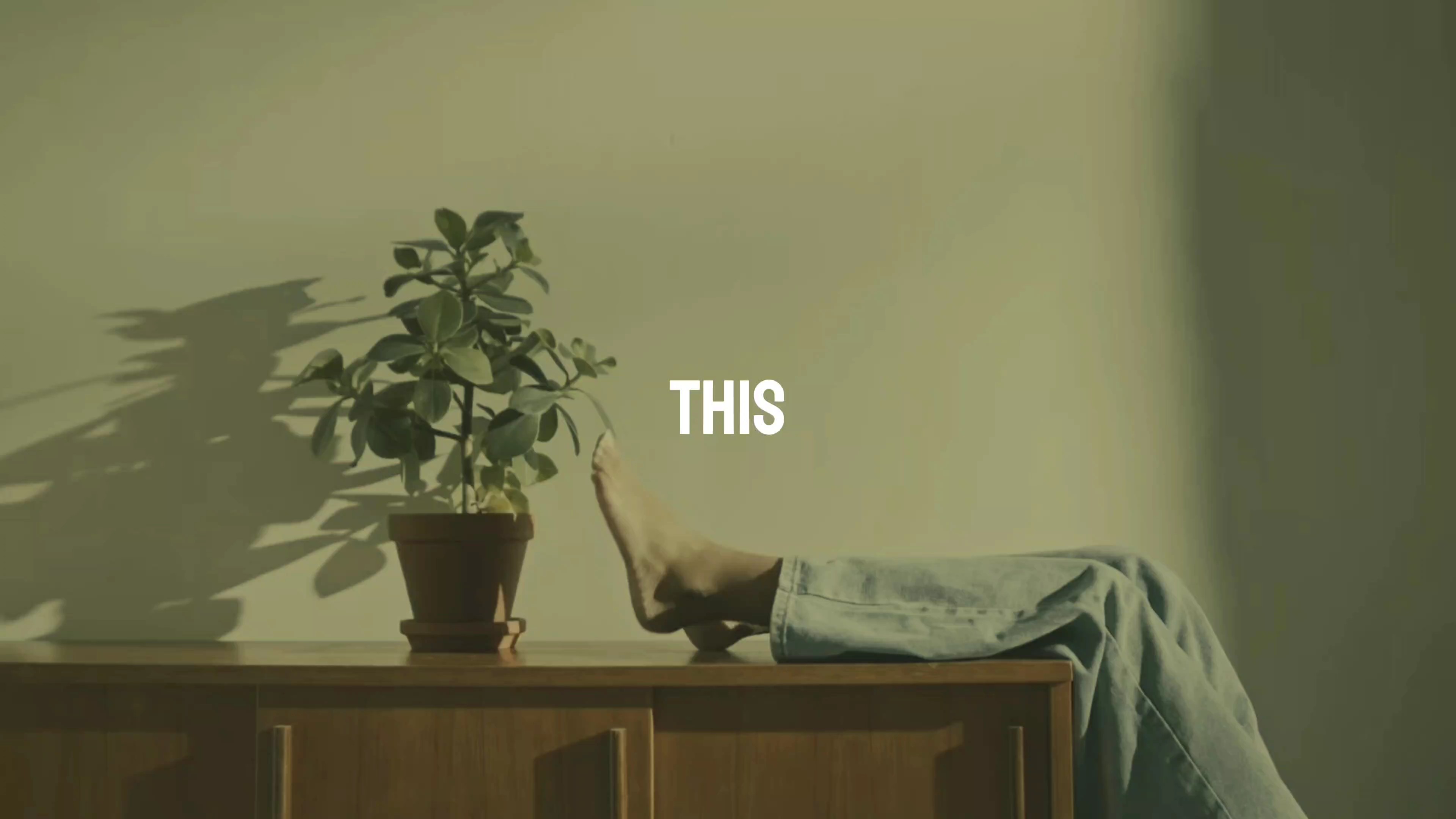 SIMPLE CINEMATIC