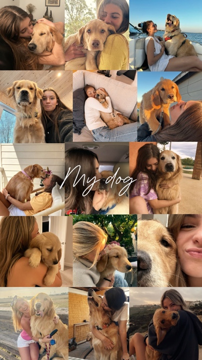 My dog