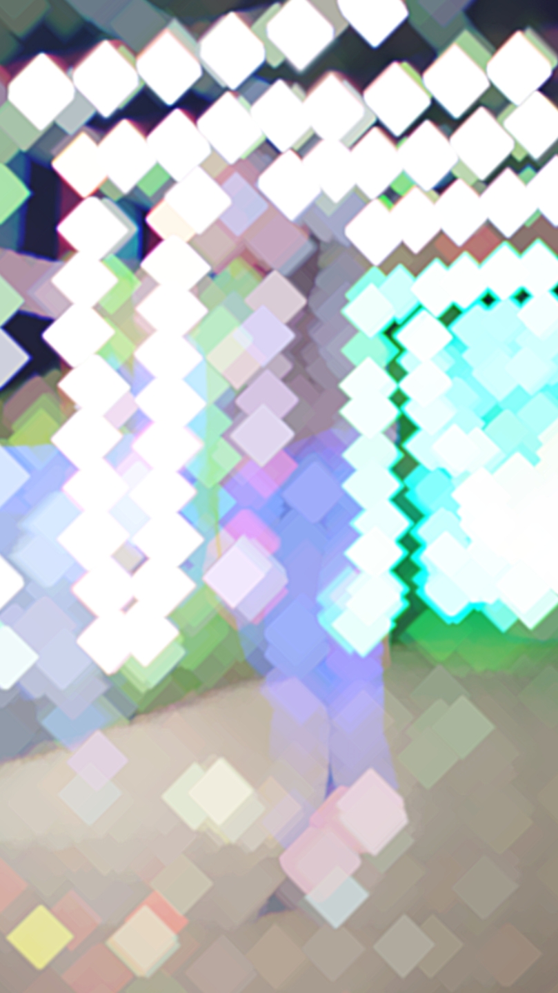 তোদের জামাই লাগি 