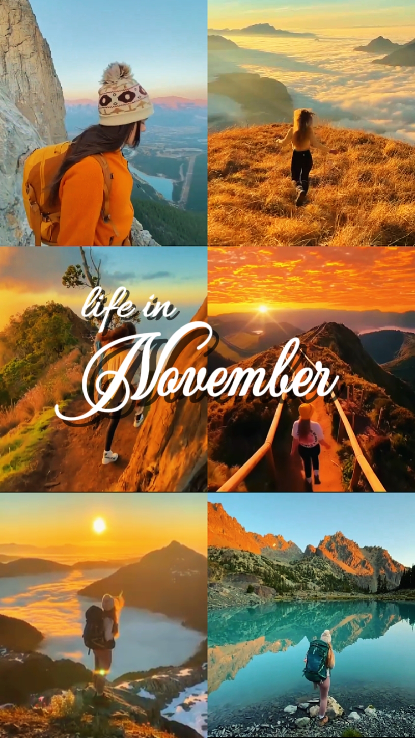 Vida en noviembre 