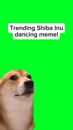 Dancing Dog Meme