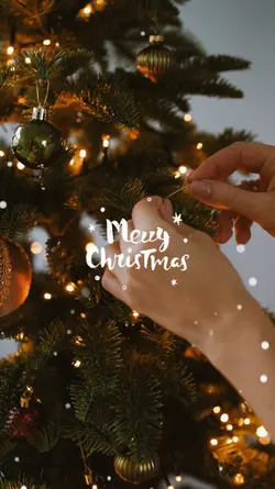 Merry Christmas