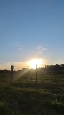 Paisagem e natureza 