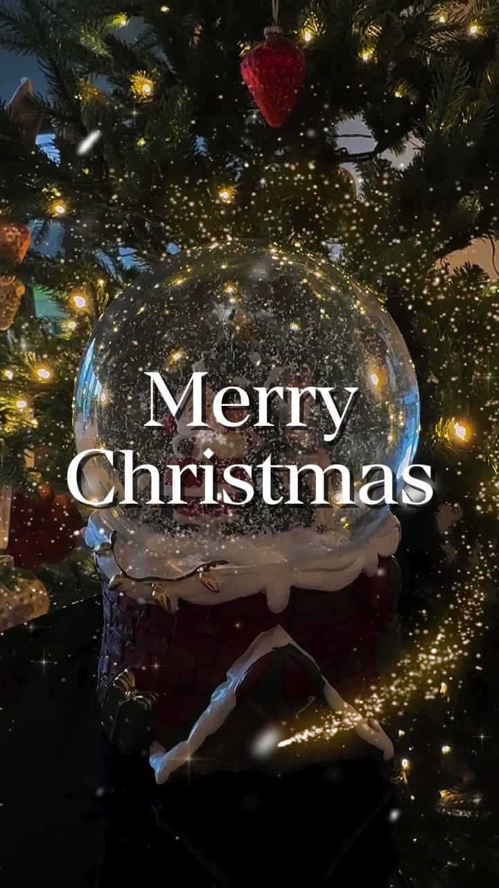 FROHE WEIHNACHTEN 🎄🎅 