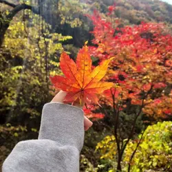 가을아침