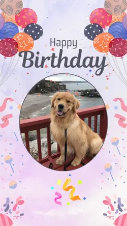 Pet Birthday 