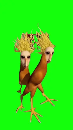 chicken noodle soup