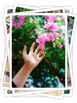 12 Photos Transition