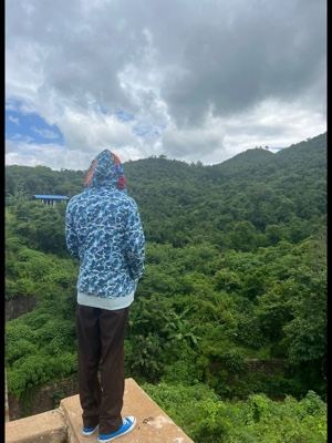 Cover Picture