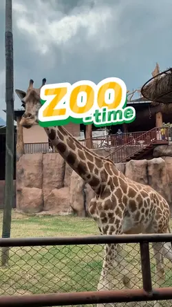 Zoo time