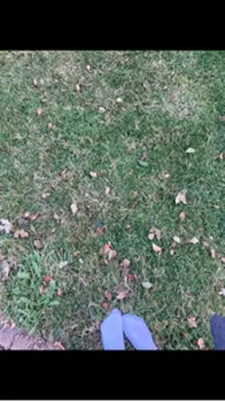 Autumn Haul 🍂🍁