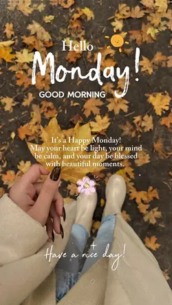 Hello Monday 🤍