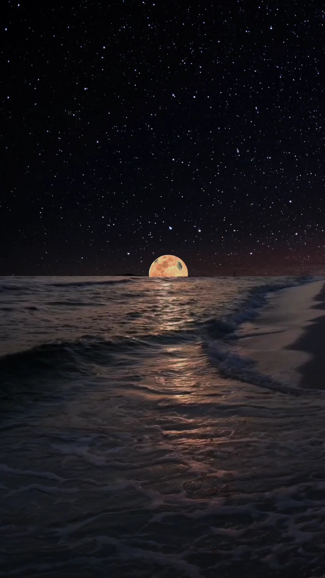 Malam berbintang pantai