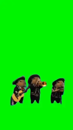 Mariachi