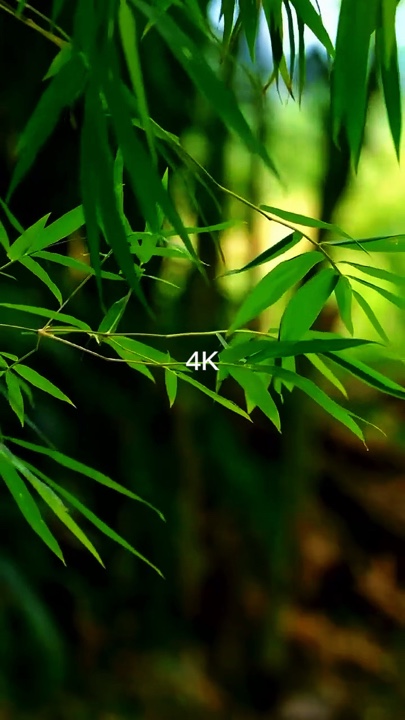 144P TO 4k cinematic