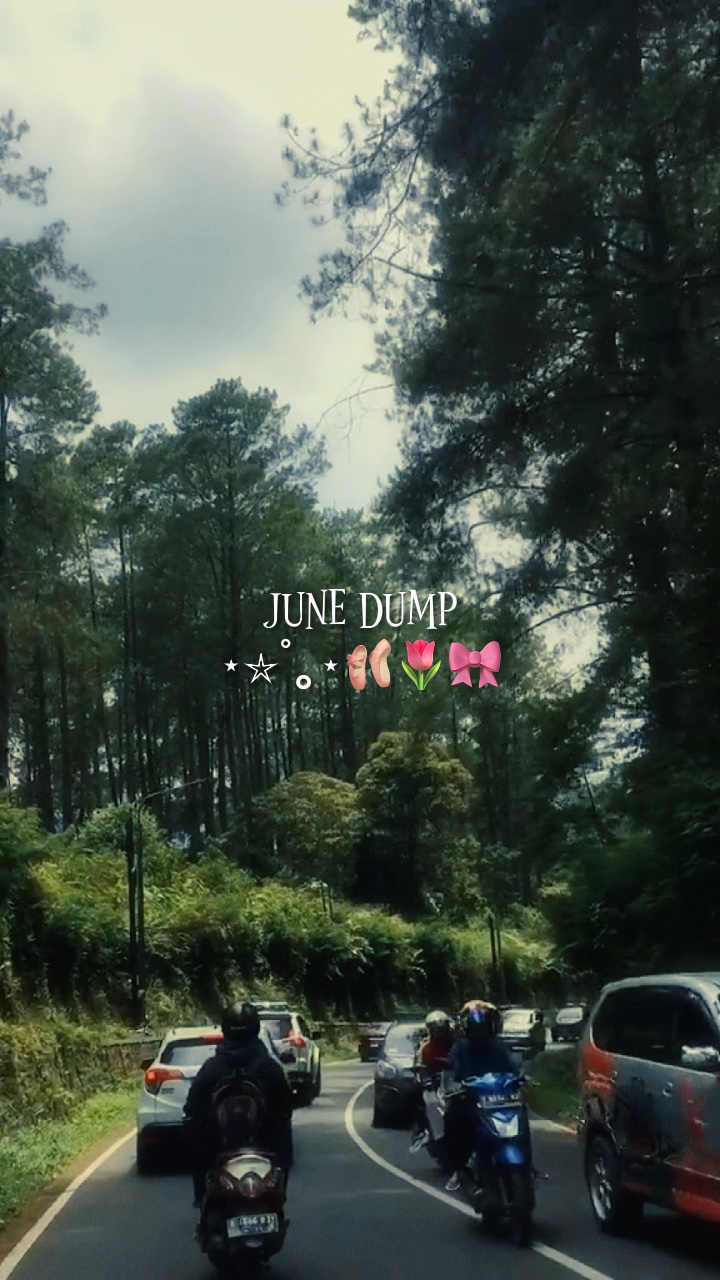 Juni Dump