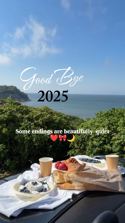 Adiós 2025