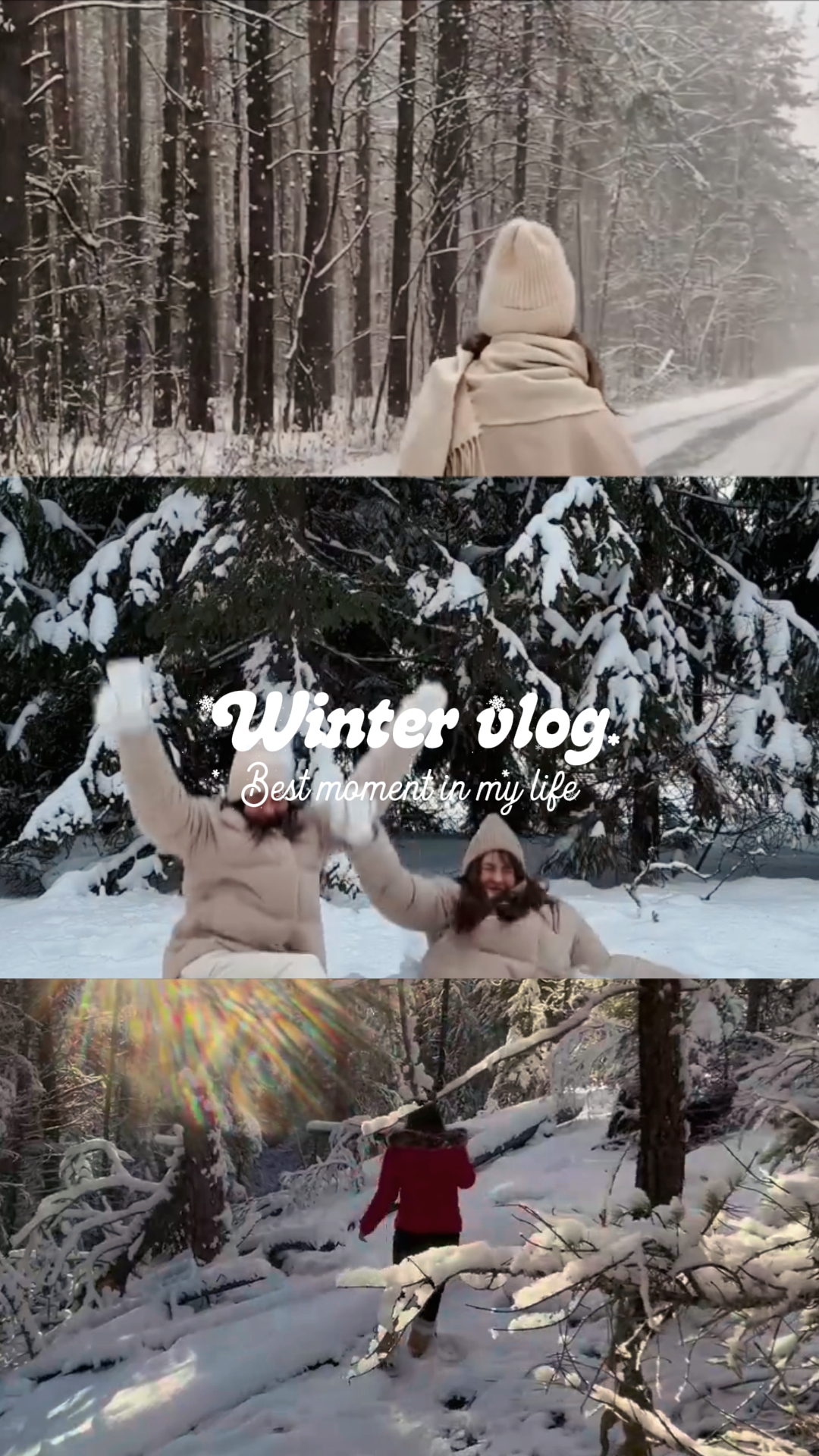 Vlog de invierno