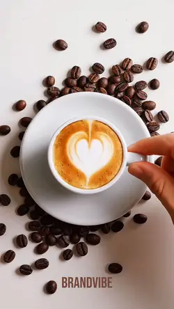 Coffee Intro 🔝