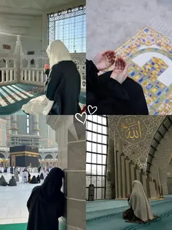 yeni şablon