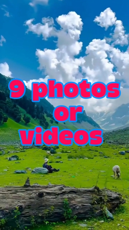 9 fotos ou vídeos 