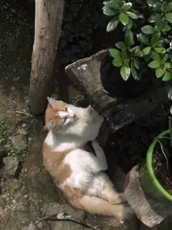 แต่ก่อนที่เธอจะไป