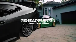 PENEAPPLE PAN 
