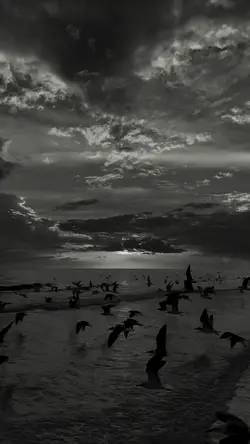 Dark slowmotion