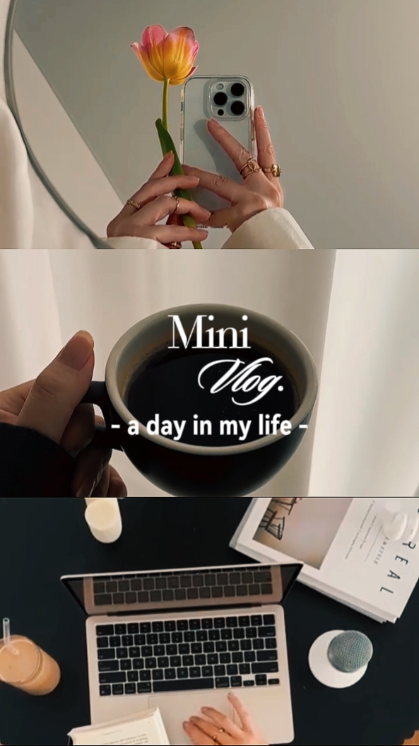 Vlog Mini